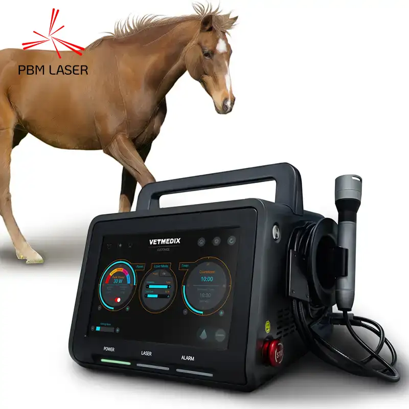 Paggamot ng Equine Laser